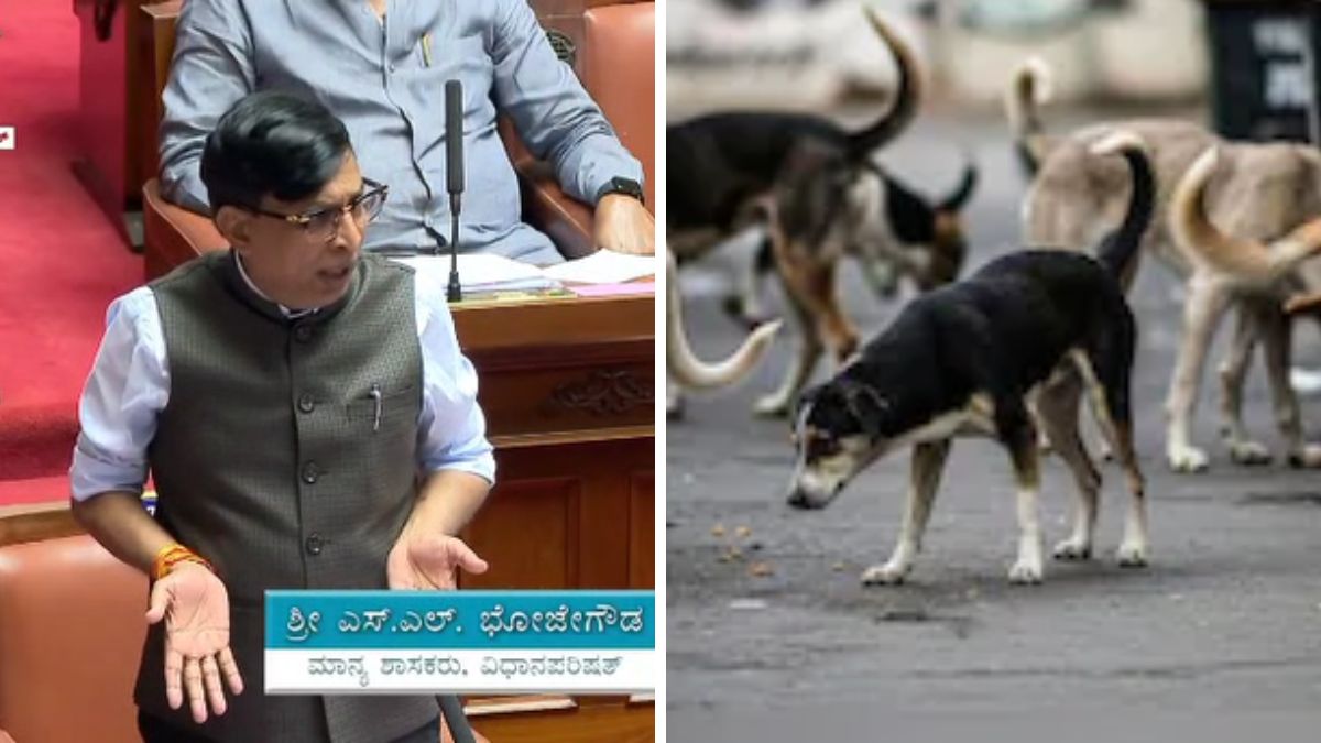 "Killed 2,800 Dogs, Can Go To Jail If Needed": Shocker From Karnataka Leader