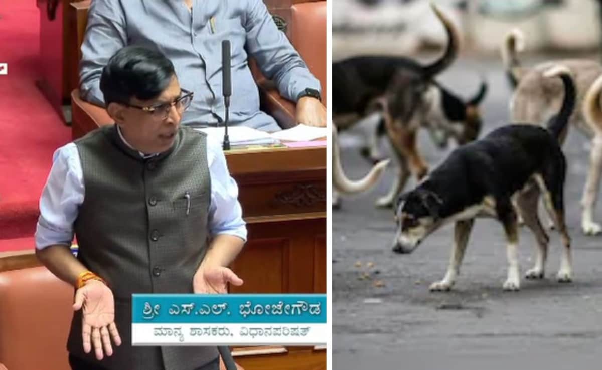 "Killed 2,800 Dogs, Can Go To Jail If Needed": Shocker From Karnataka Leader