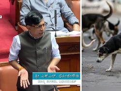 &quot;Killed 2,800 Dogs, Can Go To Jail If Needed&quot;: Shocker From Karnataka Leader