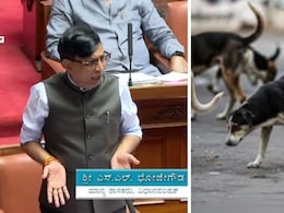 "Killed 2,800 Dogs, Can Go To Jail If Needed": Shocker From Karnataka Leader "Killed 2,800 Dogs, Can Go To Jail If Needed": Shocker From Karnataka Leader
