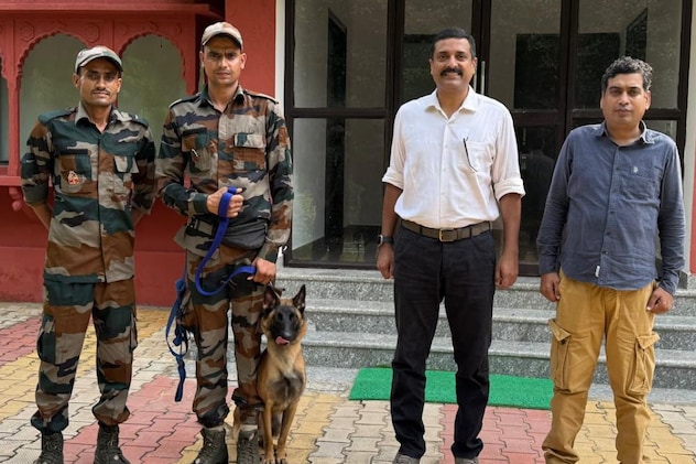 मादा डॉग लूसी मादा डॉग लूसी