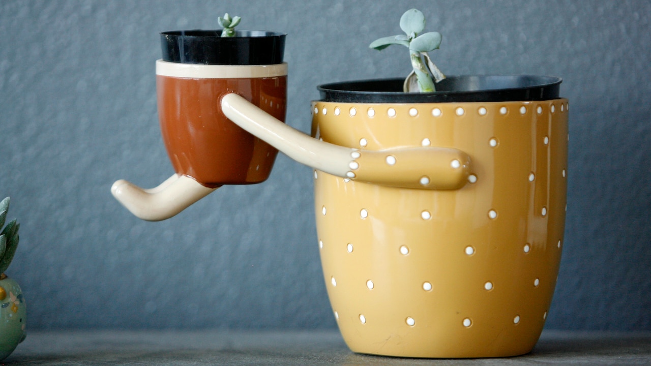 Keep Your Home Surroundings Healthier With Planters From Amazon