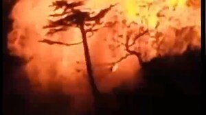 Cave, Suspected To Be Used By Terrorists, Blasted In J&K's Kishtwar