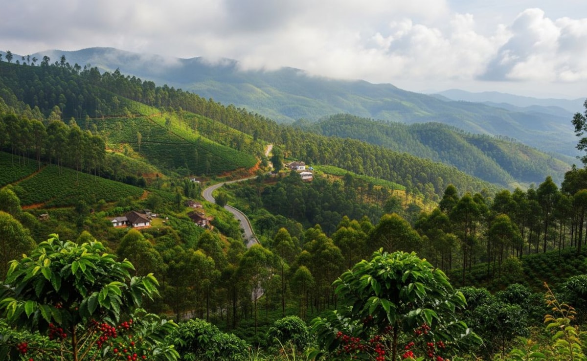 Add image caption here Add image caption here