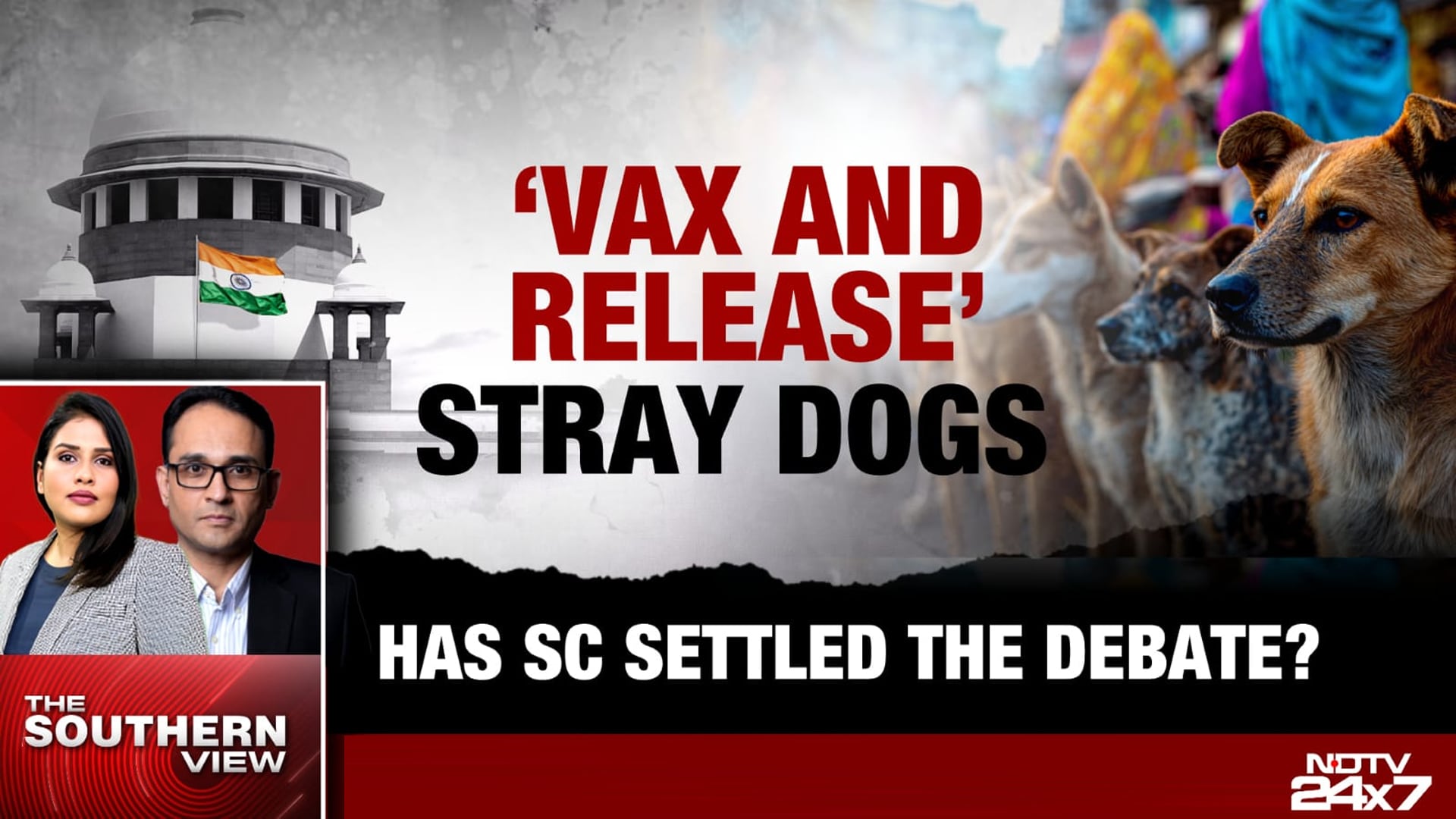 'Vax And Release' Stray Dogs: Has Sc Settled The Debate?
