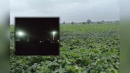धार में किसानों का फसल हो रहा लगातार बर्बाद, कलेक्टर और डीडीए एग्रीकल्चर को सौंपा आवेदन
