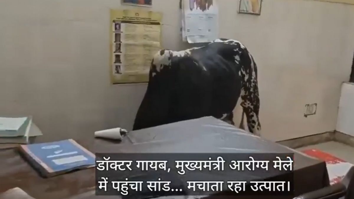 मुख्‍यमंत्री आरोग्‍य मेले में डॉक्‍टर गायब, घुस गया सांड... अखिलेश यादव ने ली चुटकी