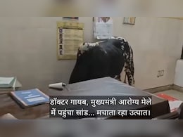 मुख्यमंत्री आरोग्य मेले में डॉक्टर गायब, घुस गया सांड... अखिलेश यादव ने ली चुटकी मुख्यमंत्री आरोग्य मेले में डॉक्टर गायब, घुस गया सांड... अखिलेश यादव ने ली चुटकी