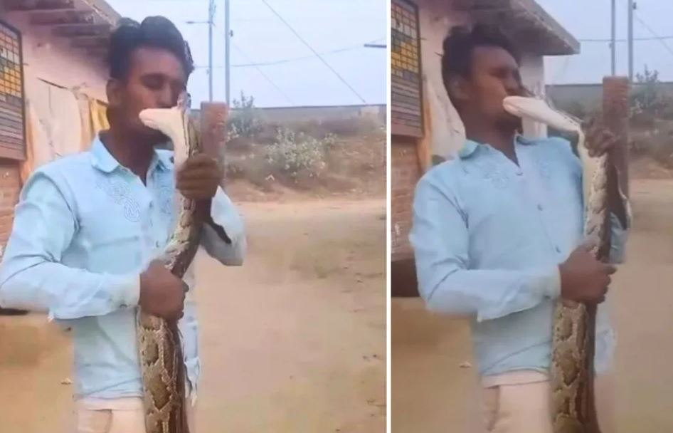 अजगर के साथ रोमांटिक हो रहा था शख्स, अगले ही पल उल्टी पर गई बाजी, कैमरे में कैद हुआ खौफनाक मंजर