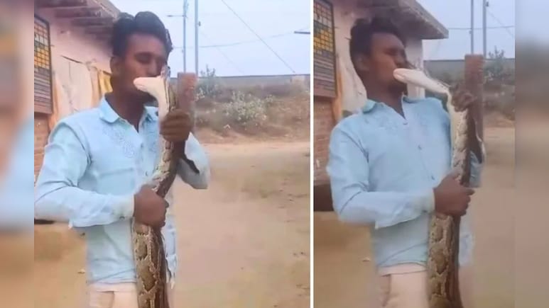 अजगर के साथ रोमांटिक हो रहा था शख्स, अगले ही पल उल्टी पर गई बाजी, कैमरे में कैद हुआ खौफनाक मंजर