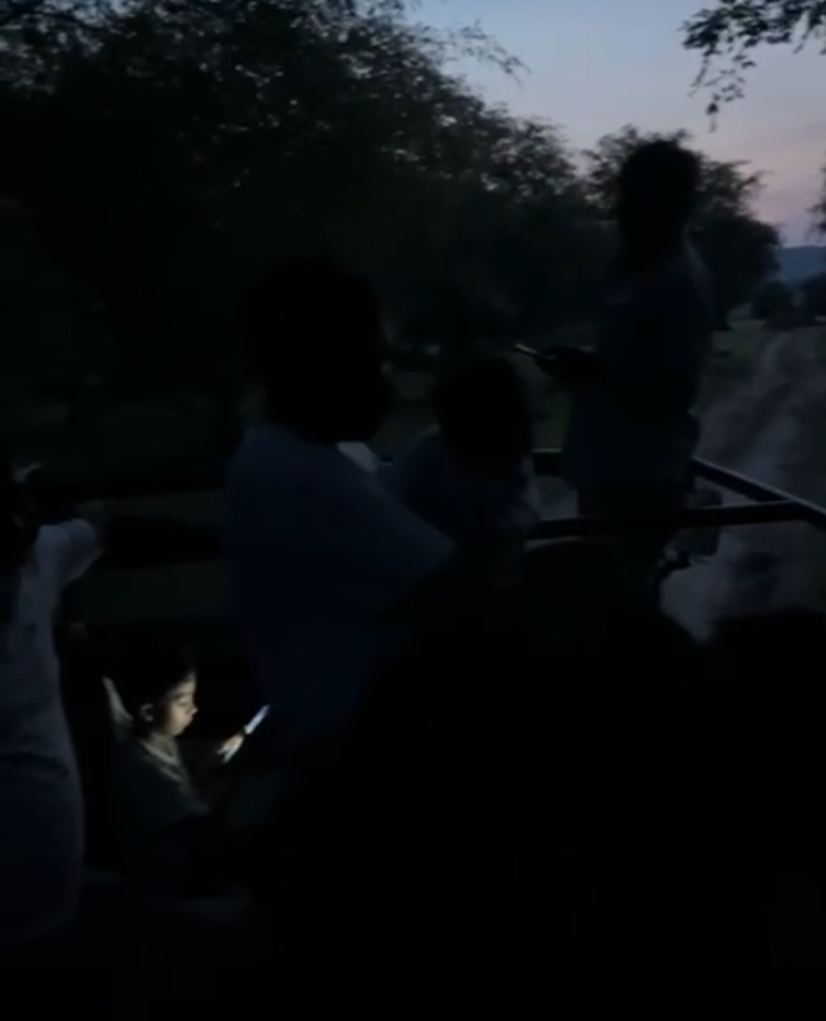 Rajasthan Tiger Safari Horror: Guide Leaves Tourists In The Middle Of Jungle