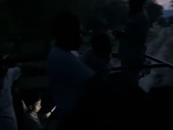 Rajasthan Tiger Safari Horror: Guide Leaves Tourists In The Middle Of Jungle