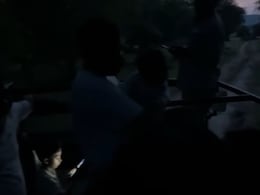 Rajasthan Tiger Safari Horror: Guide Leaves Tourists In The Middle Of Jungle Rajasthan Tiger Safari Horror: Guide Leaves Tourists In The Middle Of Jungle