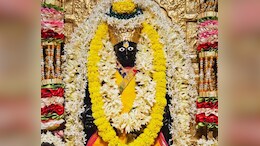 सावन पुत्रदा एकादशी : महादेव और नारायण की कृपा पाने का विशेष दिन, जानें पूजा की पूरी विधि&nbsp;