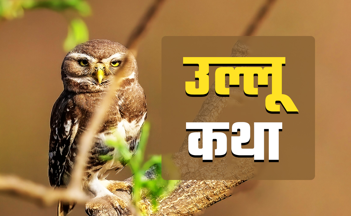 भारत का एक उल्लू जो 100 साल तक गुमनामी में जीता रहा, अपने पार्टनर को ऐसे करता है प्रपोज