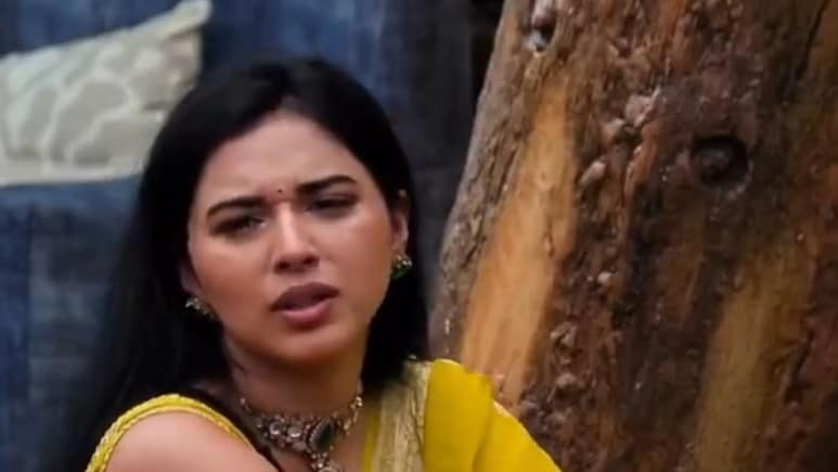 Bigg Boss 19: Tanya Mittal की बातें सुनने के बाद अब आया माता-पिता का रिएक्शन, जानें क्यों बोले- ये हमारे लिए