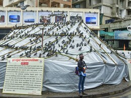 Dadar Kabutar Khana: शस्त्र उचलण्याची भाषा कराल तर याद राखा! गोवर्धन देशमुखांचा जैन मुनींना थेट इशारा