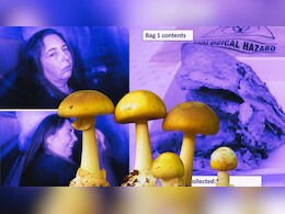 मशरूम से मर्डर! जब महिला ने खाना खिलाकर ससुराल वालों को मारा- जानिए कैसे दिया अंजाम मशरूम से मर्डर! जब महिला ने खाना खिलाकर ससुराल वालों को मारा- जानिए कैसे दिया अंजाम