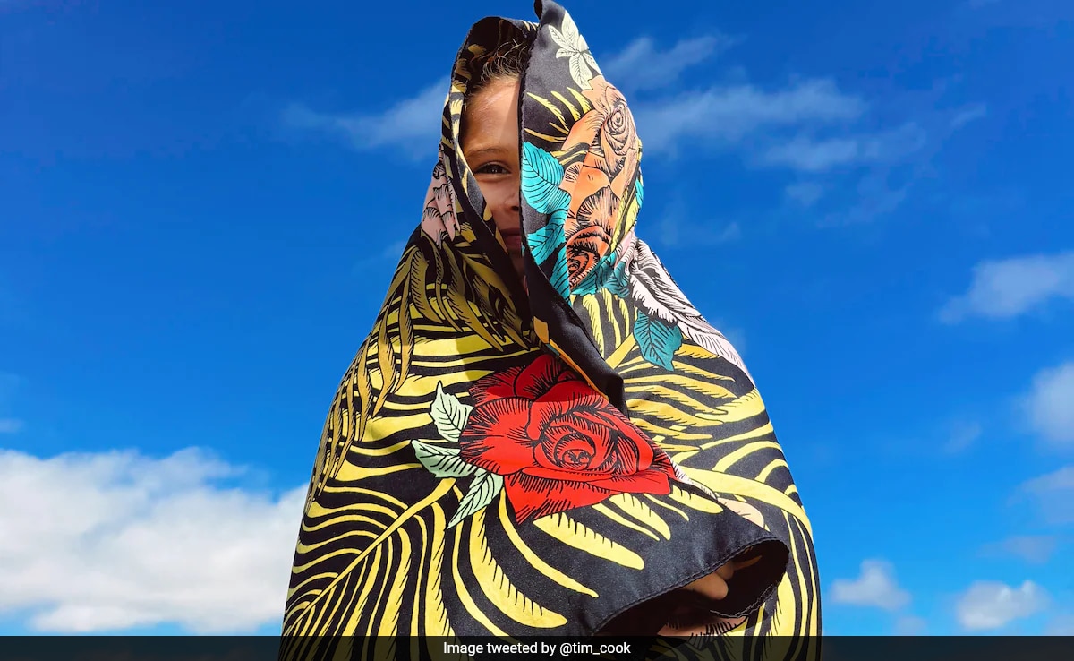 Tim Cook's iPhone Photo Celebrates World Photography Day