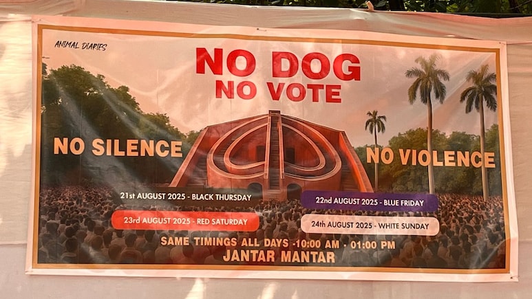 सुप्रीम कोर्ट के फैसले पर जंतर मंतर में डॉग लवर्स का जश्न, बोले, 'आवारा नहीं, ये हमारा है'