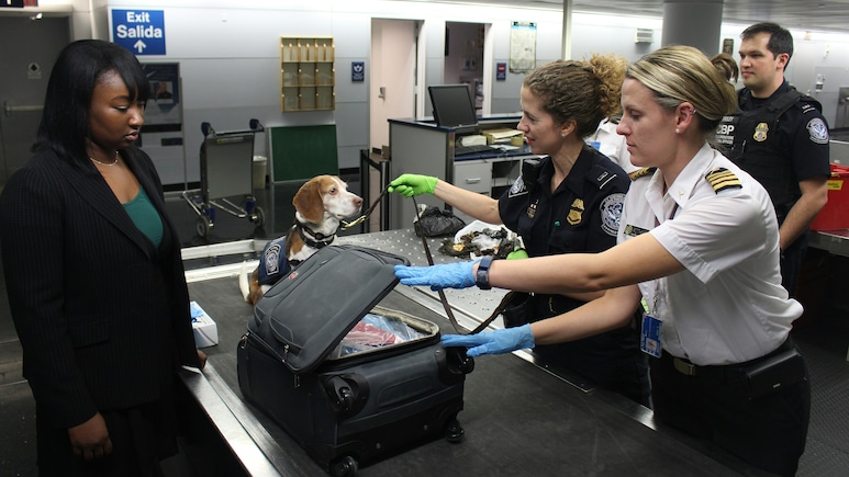 Flying Soon? Avoid These Rookie Blunders At Airport Security
