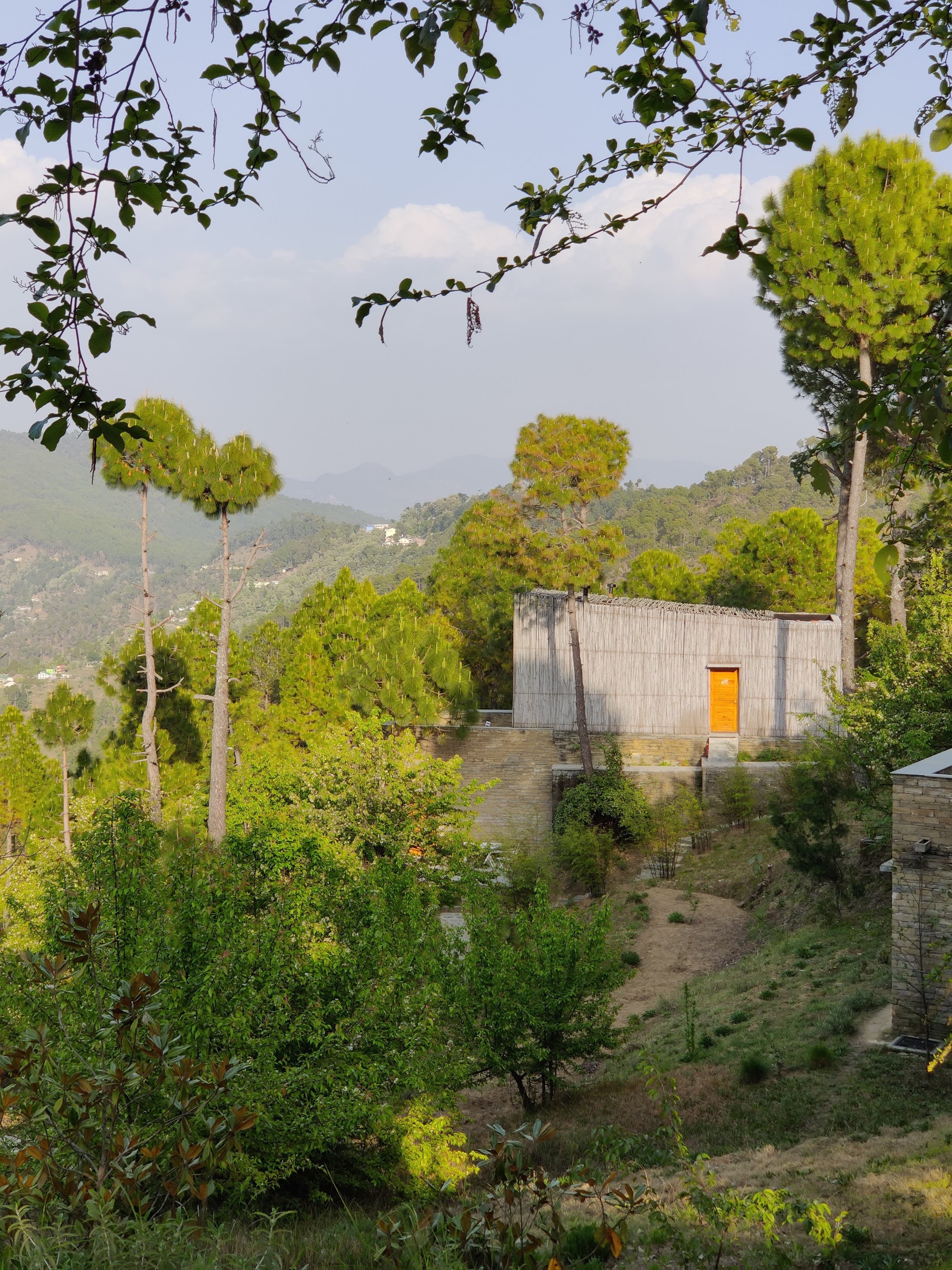 The Kumaon. Photo: Ananya Bhattacharya The Kumaon. Photo: Ananya Bhattacharya