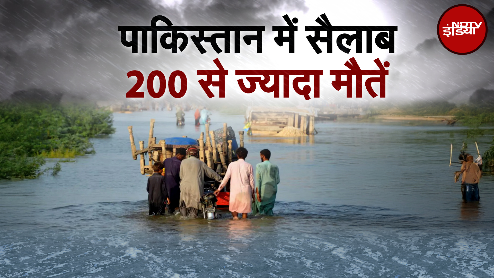 Pakistan Flood: पाकिस्तान में 'जल प्रलय', घर, स्कूल तबाह..मौत का जलजला! | PAK Flood