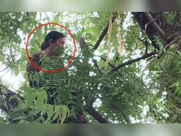 Yavatmal News: झाडावर चढल्या, हातात दोरी घेतली अन्... महिला कंडक्टरचे टोकाचे पाऊल, परिसरात खळबळ