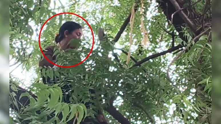Yavatmal News: झाडावर चढल्या, हातात दोरी घेतली अन्... महिला कंडक्टरचे टोकाचे पाऊल, परिसरात खळबळ
