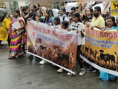 Chennai Animal Lovers Protest In Rain For Street Dogs Amid Top Court's Order