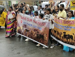 Chennai Animal Lovers Protest In Rain For Street Dogs Amid Top Court&#039;s Order