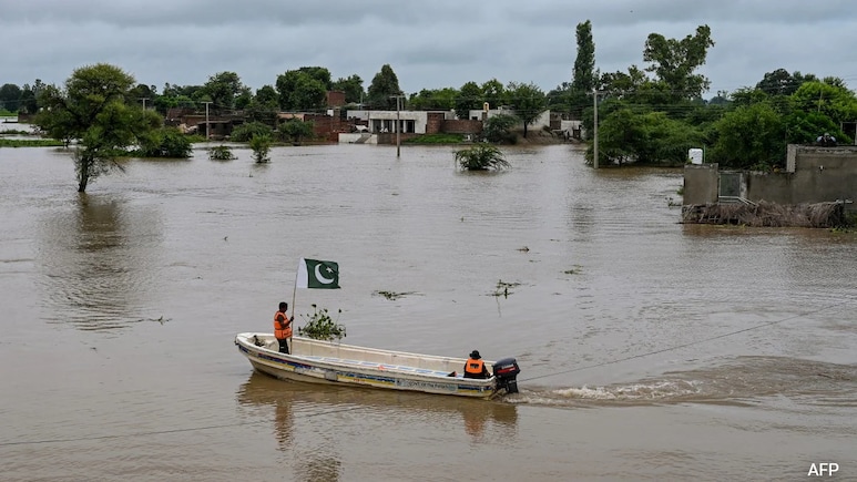 "Sharing Flood Data With Pakistan On Humanitarian Grounds": Foreign Ministry