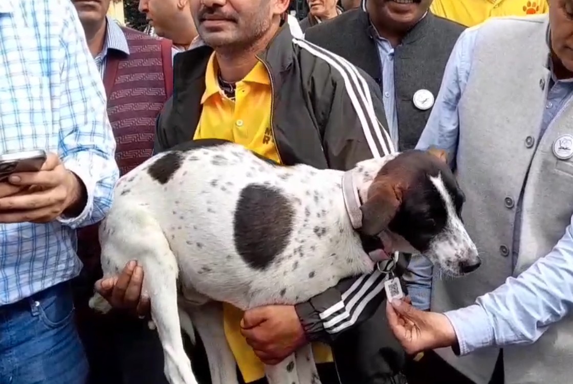 लाल कॉलर मतलब खतरा! हमलावर कुत्तों की पहचान के लिए नई व्यवस्था, गले में लगाए जाए रहे स्मार्ट टैग