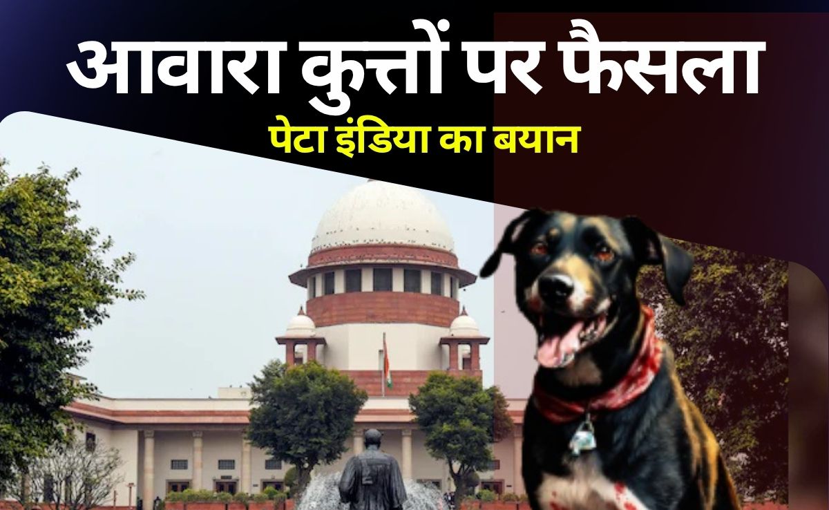 आवारा कुत्तों को हटाने वाले सुप्रीम कोर्ट के आदेश पर पेटा इंडिया का आया बयान