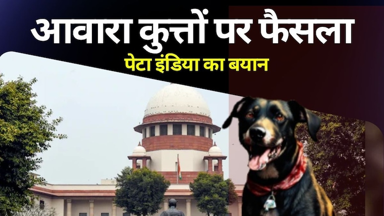 आवारा कुत्तों को हटाने वाले सुप्रीम कोर्ट के आदेश पर पेटा इंडिया का आया बयान
