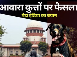 आवारा कुत्तों को हटाने वाले सुप्रीम कोर्ट के आदेश पर पेटा इंडिया का आया बयान आवारा कुत्तों को हटाने वाले सुप्रीम कोर्ट के आदेश पर पेटा इंडिया का आया बयान