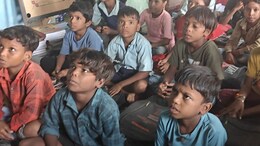 "Why Did This Cat Become 4?" 5 Classes In 1 Room Leave Students Puzzled