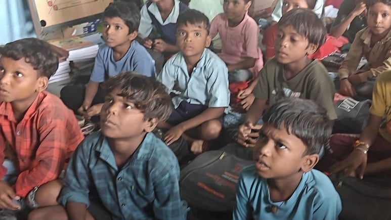 "Why Did This Cat Become 4?" 5 Classes In 1 Room Leave Students Puzzled