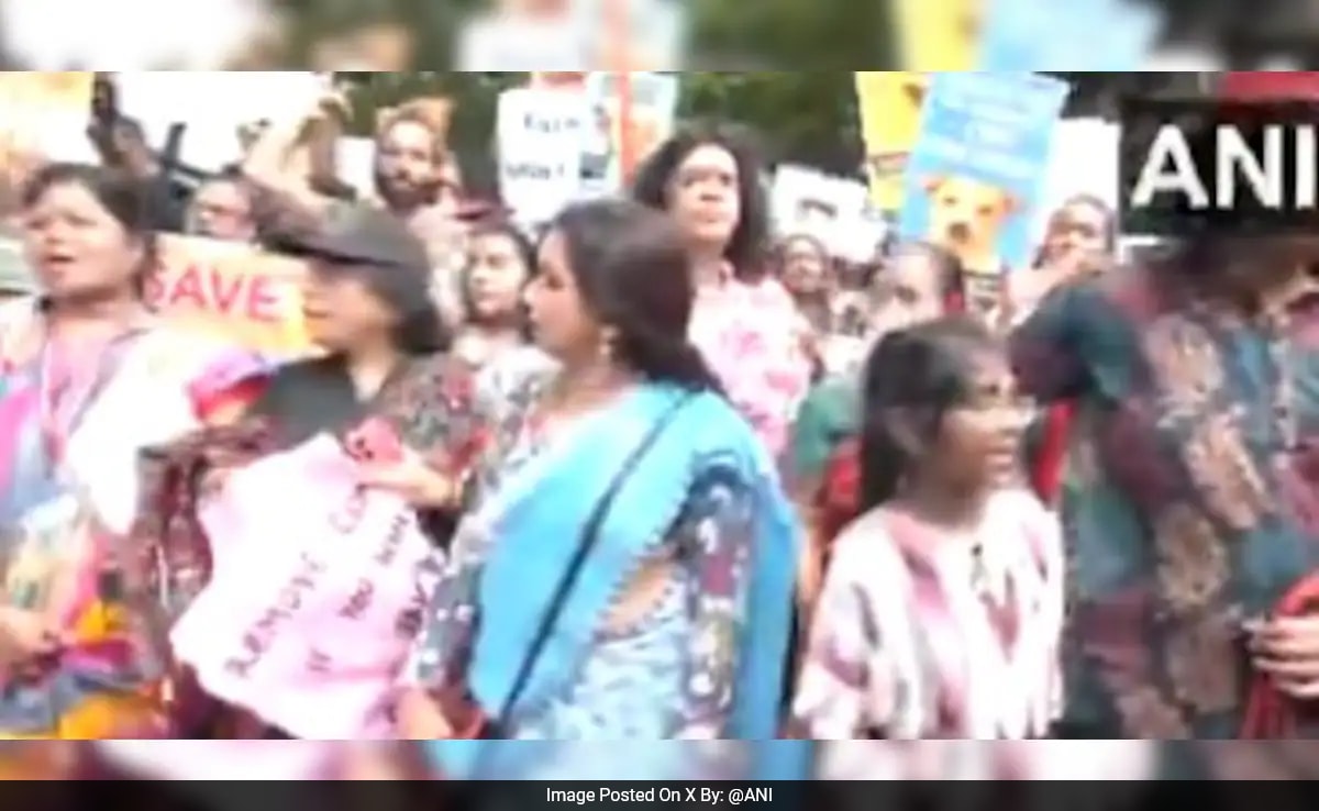 Chennai protesters rally against Supreme Court's order on stray dogs
