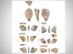 The Mystery Of Ancient 'Hobbit' Humans And Clues In New Stone Tools Discovery
