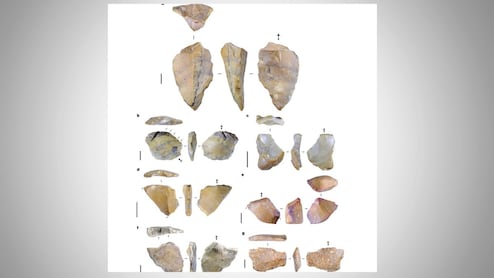 The Mystery Of Ancient 'Hobbit' Humans And Clues In New Stone Tools Discovery