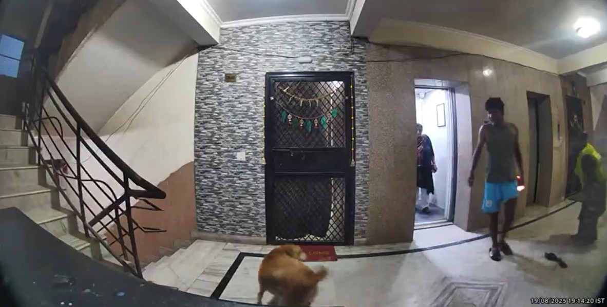 In Ghaziabad, Pet Dog Attacks Woman On Camera, Bites On Leg