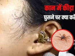 कान में अगर कोई कीड़ा घुस जाए तो क्या करें? क्या हम कीड़ों को दूर करने के लिए कान में पानी डाल सकते हैं