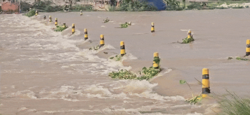 Hanumangarh News: हिमाचल और पंजाब में भारी बारिश का असर राजस्थान में भी, घग्घर नदी उफान पर 