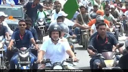 Rahul Gandhi's 'Sticks And Stones' Reply After Violence In PM Abuse Row