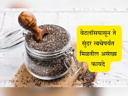 Chia seeds in Marathi: चिया सीड्स खाण्याचे फायदे, सेवन करण्याची योग्य पद्धत आणि दुष्परिणाम
