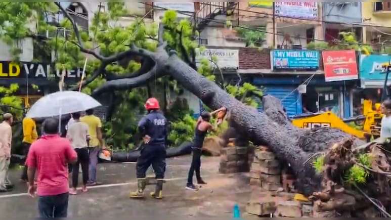 दोषी वह पेड़ नहीं, हम हैं...  नियम बेदम, कानून बेजान, घुट रहा कंक्रीट में कैद पेड़ों का दम