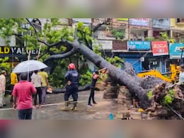 दोषी वह पेड़ नहीं, हम हैं...  नियम बेदम, कानून बेजान, घुट रहा कंक्रीट में कैद पेड़ों का दम दोषी वह पेड़ नहीं, हम हैं...  नियम बेदम, कानून बेजान, घुट रहा कंक्रीट में कैद पेड़ों का दम