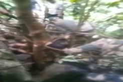 BSF Catches 4 Bangladeshi Men Who Infiltrated Into Meghalaya, Attacked Indian BSF Catches 4 Bangladeshi Men Who Infiltrated Into Meghalaya, Attacked Indian