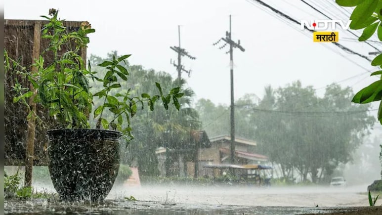 Weather Alert : विदर्भात पुढील 4 दिवस जोरदार पावसाचा अंदाज, वाचा कोणत्या जिल्ह्यांना दिला इशारा?